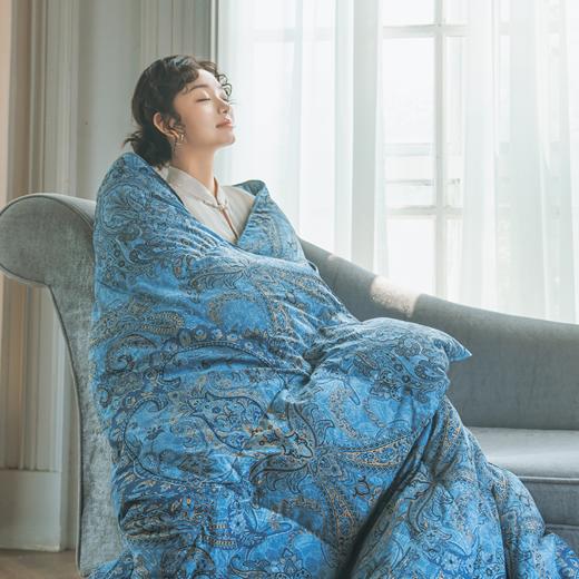 苏美达X故宫联名款塞纳河畔红嘴雁鸭绒被|一床过冬，又轻又暖不钻绒 商品图0