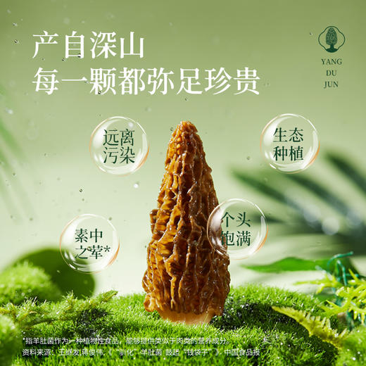 燕之坊羊肚菌30g 福建宁德古田特产甄选干货蘑菇煲汤食材商超同款 商品图3