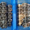 阳澄湖大闸蟹 | 原产地直采 新鲜到家 肉肥黄满 脚长黄毛 每只螃蟹都有身份证 扫码可溯源 死蟹不足称包赔  鲜活大闸蟹&礼赠蟹卡同步发售 商品缩略图2