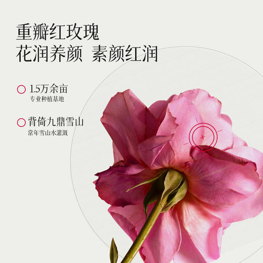 元气达人双参黄芪玫瑰茶   补元气  花润养颜好气色 商品图2