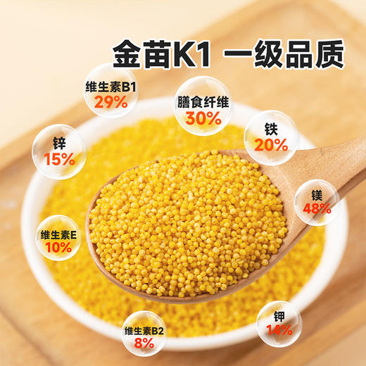 鲜芽金米（有机小米）5斤  保留胚芽和胚乳 商品图2