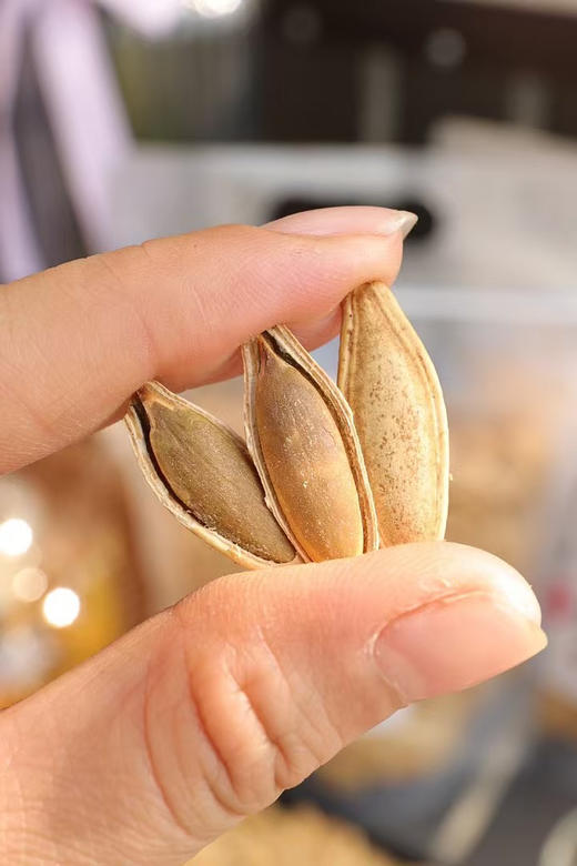 美人甲纸皮南瓜子250g（3袋包邮） 商品图3