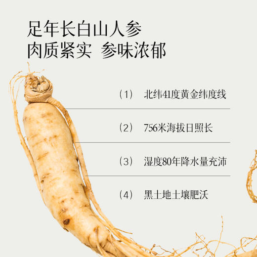 元气达人双参黄芪玫瑰茶   补元气  花润养颜好气色 商品图1