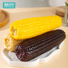 新疆甜糯玉米  绿色食品认证  非转基因【天畔×青辰谷谷 】 商品缩略图3
