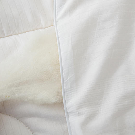 被芯100%澳洲进口羊毛冬被春秋被加厚冬被全棉面料细密防钻毛 商品图6