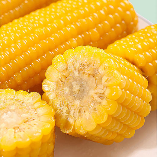 吉林【黄糯玉米】粒粒饱满 香甜软糯 自然醇香 生态玉米 东北富硒黑土地种植！ 商品图1
