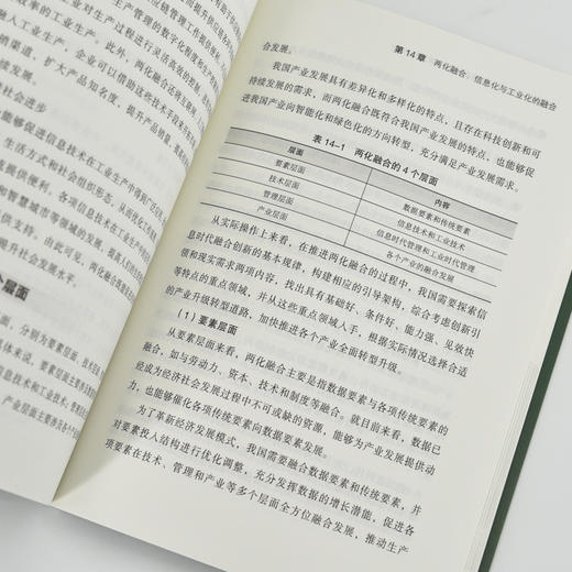 数产融合：数字技术赋能产业高质量发展 新质生产力 数字经济 数字贸易 工业互联网 产业融合 商品图1