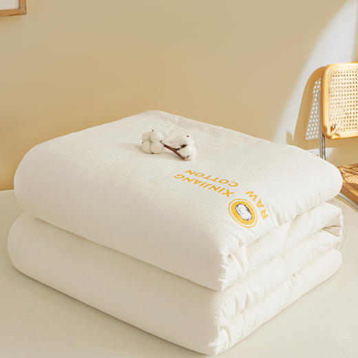 全棉提花棉花被新疆棉花被子被芯加厚保暖家用单双人纯棉宿舍被褥 商品图1