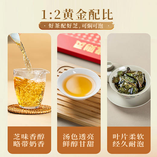 元生泰 有龙则灵.灵芝白茶 3g*16泡/盒 武夷山紫灵芝+福建松溪白茶 商品图3