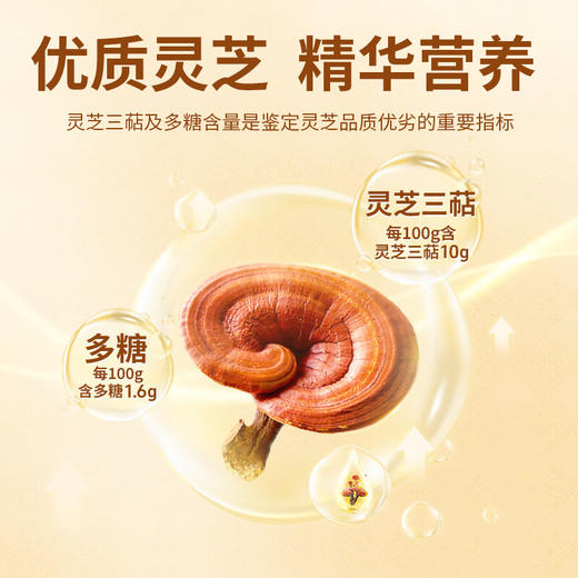 亨博士 破壁灵芝孢子粉胶囊 0.25g*12粒 商品图2