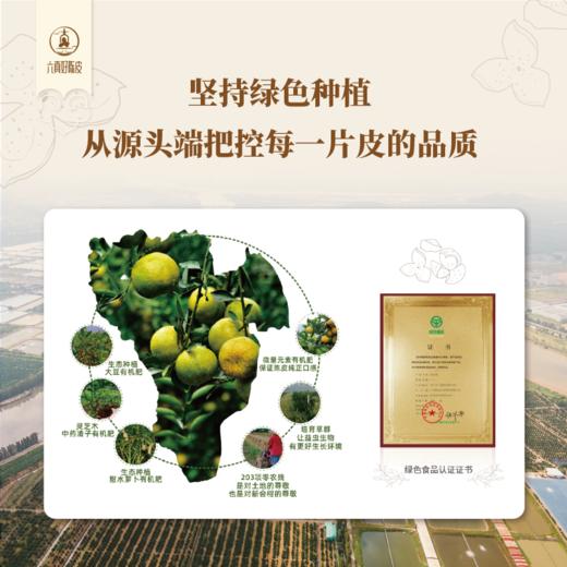 六真好陈皮-2014年新会天马核心产区 商品图5