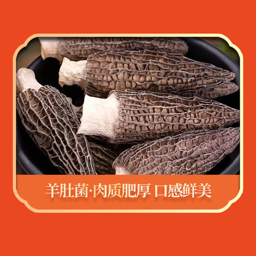 绿帝吉时好礼菌菇礼盒220g 商品图3