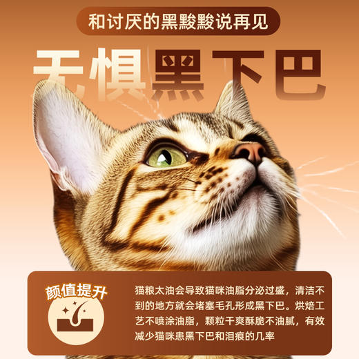 冒险与它兔肉烘焙猫粮主粮500g 鲜肉配方 高蛋白+鱼油 整箱20袋 线上控价 高利润！ 商品图3