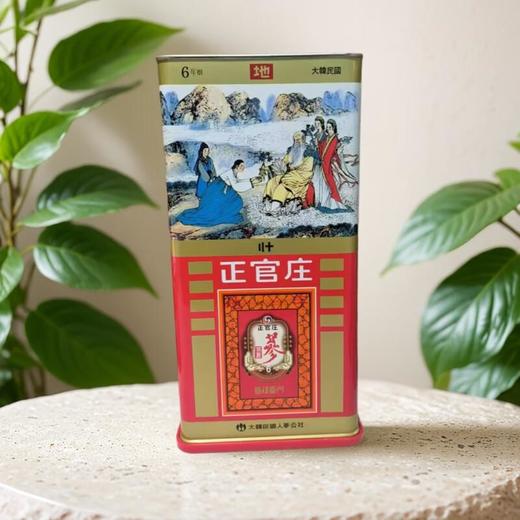 正官庄地参20支 600g/罐 商品图0