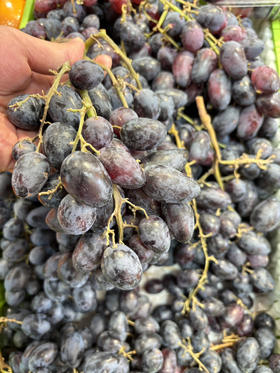 神秘梦境无籽黑提一份约500g