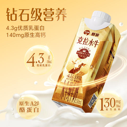 百菲酪 醇菲  4.3g 梦幻盖（金装） 水牛纯牛奶   250ml 商品图4