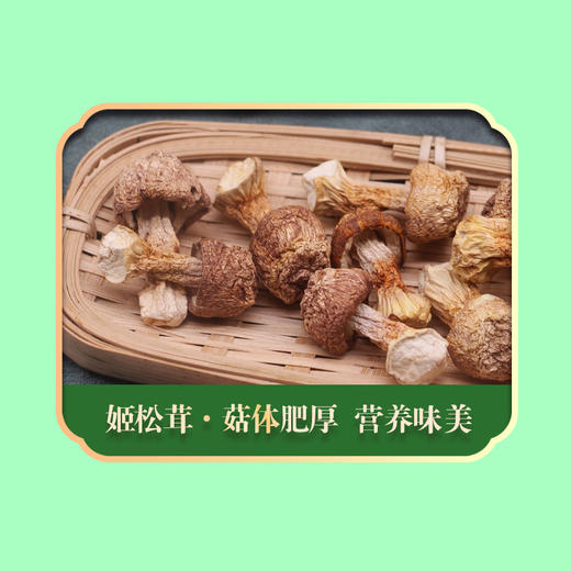 绿帝山肴佳品菌菇类礼盒490g 商品图10