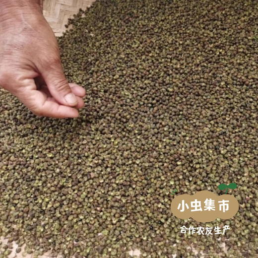 云南深山野生青花椒 100g/瓶 | 合作农友生产，产自云南永仁，生产者：康丽 ＆【公平贸易农人定价】 商品图10