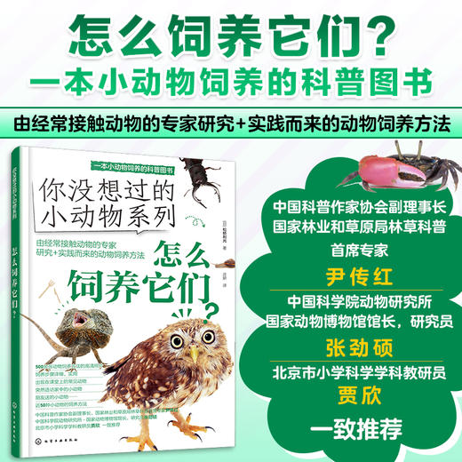 【5-12岁】你没想过的小动物系列(套装4册)超有趣的动物小知识科普书！ 商品图3