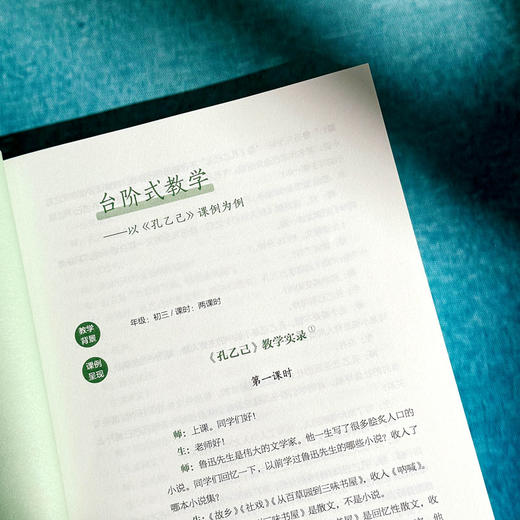 深究学理教语文 大夏书系 刘兆刚 程翔语文课例探析 商品图8