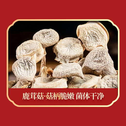 绿帝山海甄品325g 商品图2