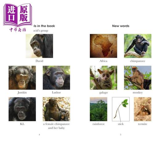 【中商原版】企鹅阅读分级指导3级 王朝 黑猩猩Penguin Readers Level 3 Dynasties Chimpanzees (ELT Graded Reader)英文原版 商品图1