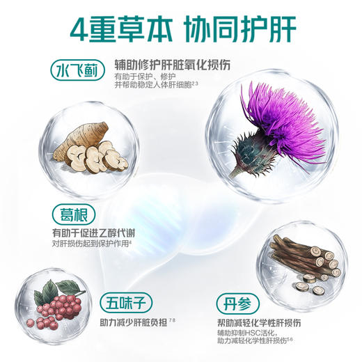 护肝片 汤臣倍健健安适水飞蓟葛根丹参片120片/瓶 商品图3