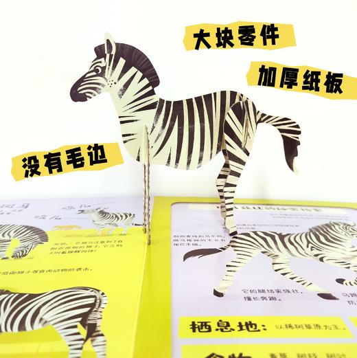 拼插野生动物书 商品图3
