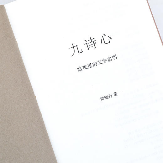 九诗心:暗夜里的文学启明 黄晓丹 著（多规格可选） 商品图4