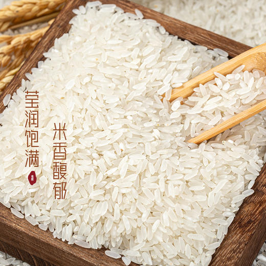 老哥俩五常稻香米5kg(黑袋) 商品图2