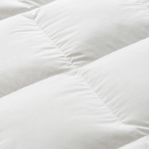 【德国原产OBB】Royal Bed90%鹅绒被 Wiltz维尔茨加厚四季被冬被 商品图2