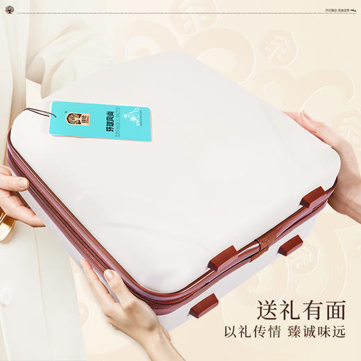 臻味-2.1kg环球风尚 商品图3