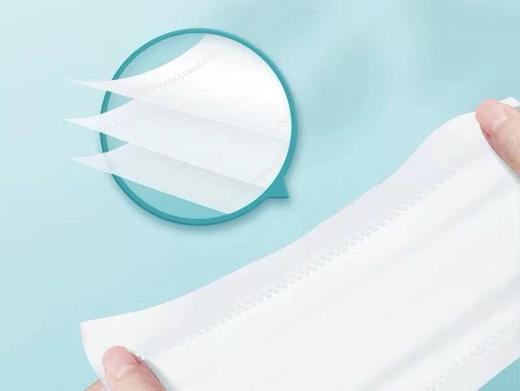 山茶花纸巾 商品图0