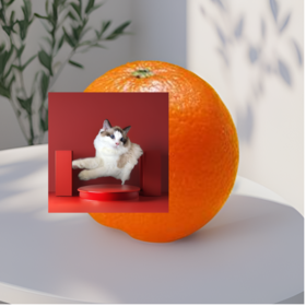 qwj多图商品-预发图片素材