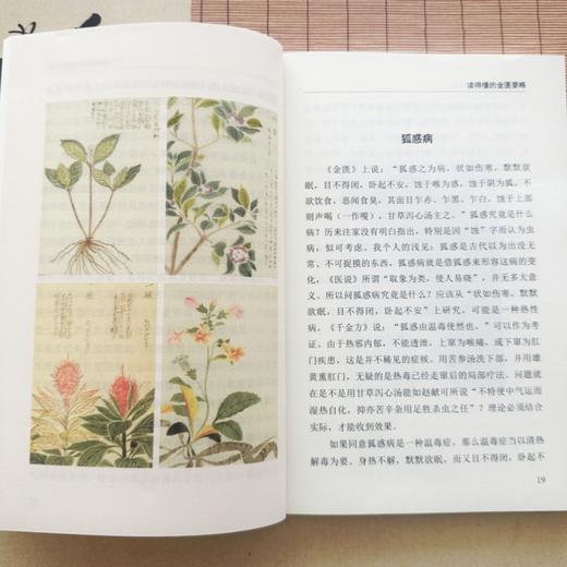 写给中国人的国医三书+写给中国人的中医三书（全6册）赠：八段锦导图+中草药导图+二十四导引图 商品图5