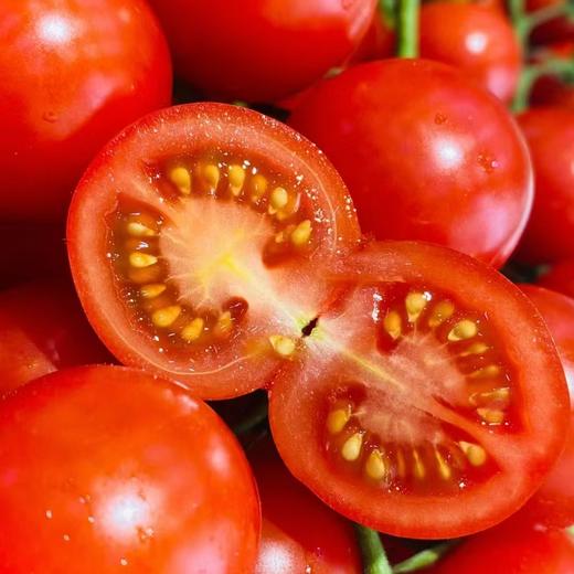 串樱桃番茄 | 优选品种 现摘现发 连枝带叶 成串更新鲜 番茄味鲜明 汁水饱满 低GI高维C 商品图2