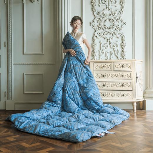 苏美达X故宫联名款塞纳河畔红嘴雁鸭绒被|一床过冬，又轻又暖不钻绒 商品图3