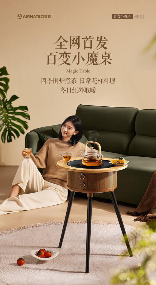 艾美特（Airmate）旗舰新品围炉煮茶取暖器AIR13电烤炉   YS 商品图10