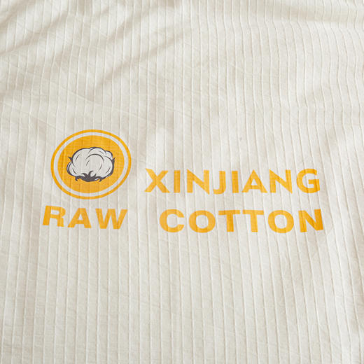 全棉提花棉花被新疆棉花被子被芯加厚保暖家用单双人纯棉宿舍被褥 商品图5