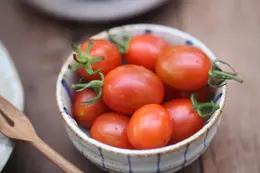 猫太推荐—很不一样的 糖果番茄🍅