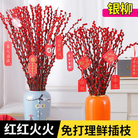 【年年红红火火！9.9抢10支】年宵花-红色银柳被称为“旺财之花”家里插一束 年宵花/新年祝福，既高贵典雅又喜庆，送礼也是极好的选择~
