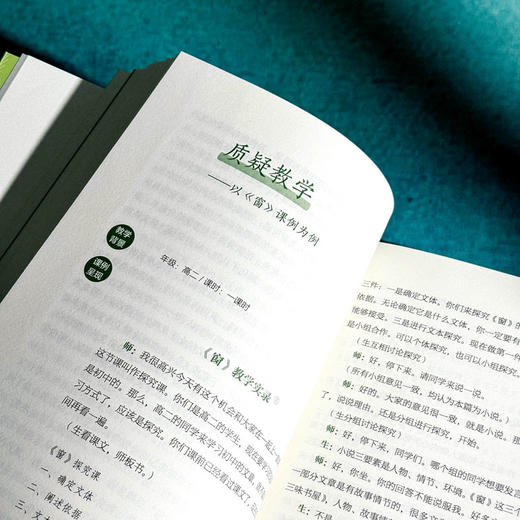 深究学理教语文 大夏书系 刘兆刚 程翔语文课例探析 商品图9