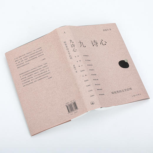 九诗心:暗夜里的文学启明 黄晓丹 著（多规格可选） 商品图1
