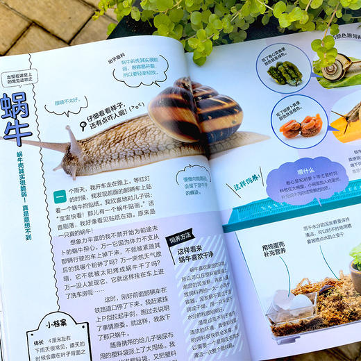 【5-12岁】你没想过的小动物系列(套装4册)超有趣的动物小知识科普书！ 商品图9