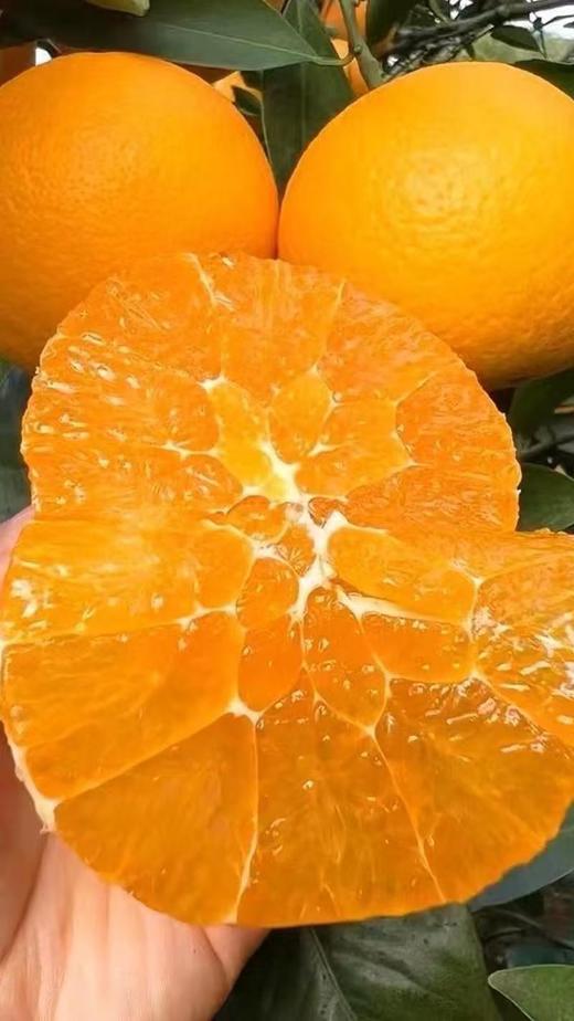 2025年12月15-17日出单奖励业务伙伴纽荷尔脐橙一箱 商品图1