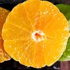 【亚欧超市】爱媛果冻橙 约500g/份 商品缩略图1