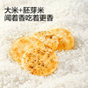 【宝宝馋了】香脆胚芽米饼（肉松/海苔）非油炸  商品缩略图0
