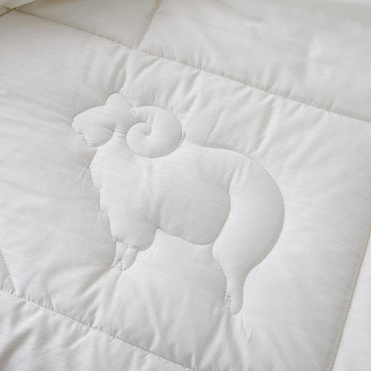 被芯100%澳洲进口羊毛冬被春秋被加厚冬被全棉面料细密防钻毛 商品图3