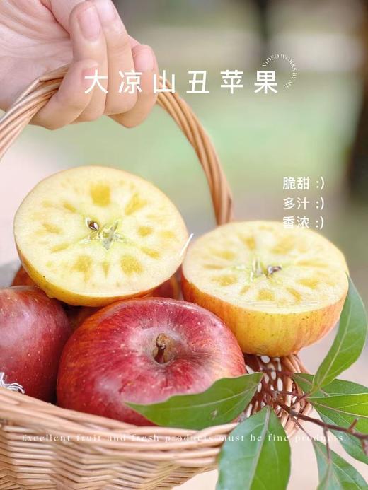 大凉山丑苹果（包装随机） 商品图1