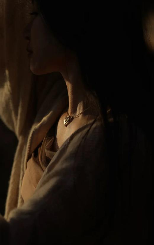 蛇本命年之复古灵蛇徽章 商品图1